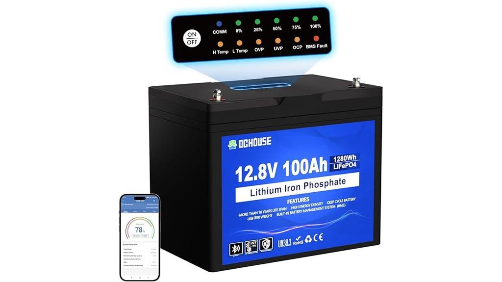dc 12v 100ah lifepo4