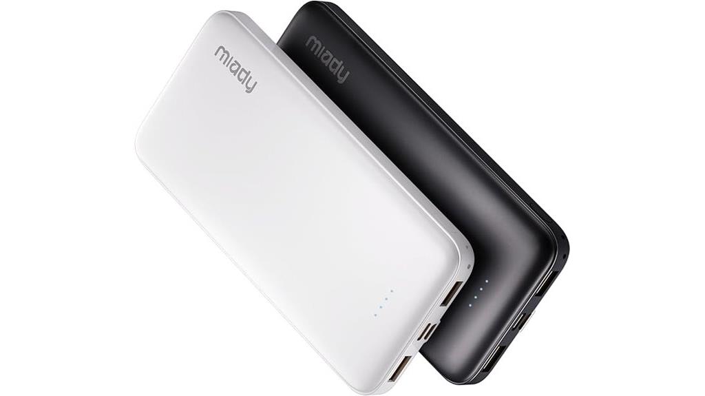 dual usb c portable power