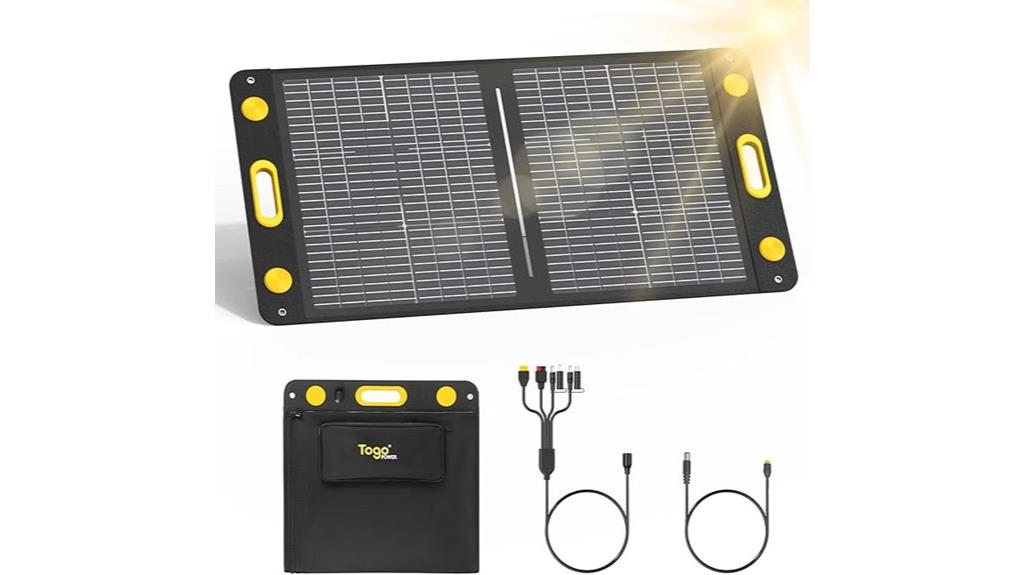 portable dual sided solar panel