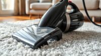 pet friendly portable carpet cleaners
