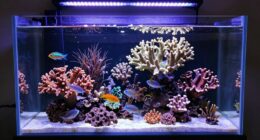 maintain lighting prevent issues