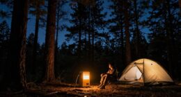 quiet power reliable backup