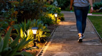 12 Best Solar Pathway Lights for Safer, More Welcoming Walkways in 2027