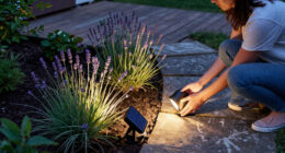 15 Best Solar-Powered Landscape Spotlights for Garden and Yard Lighting in 2027